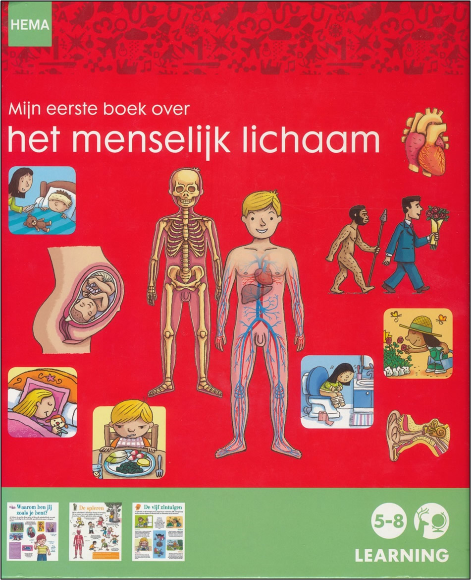Je lijf van top tot teen! | Mijn eerste boek over het menselijk lichaam (2 boeken) - Afbeelding 6