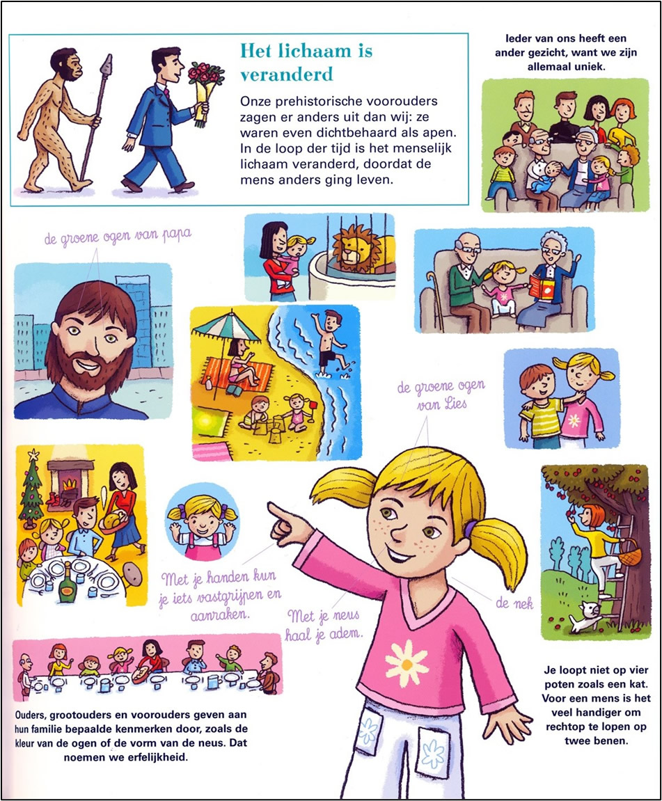 Je lijf van top tot teen! | Mijn eerste boek over het menselijk lichaam (2 boeken) - Afbeelding 8