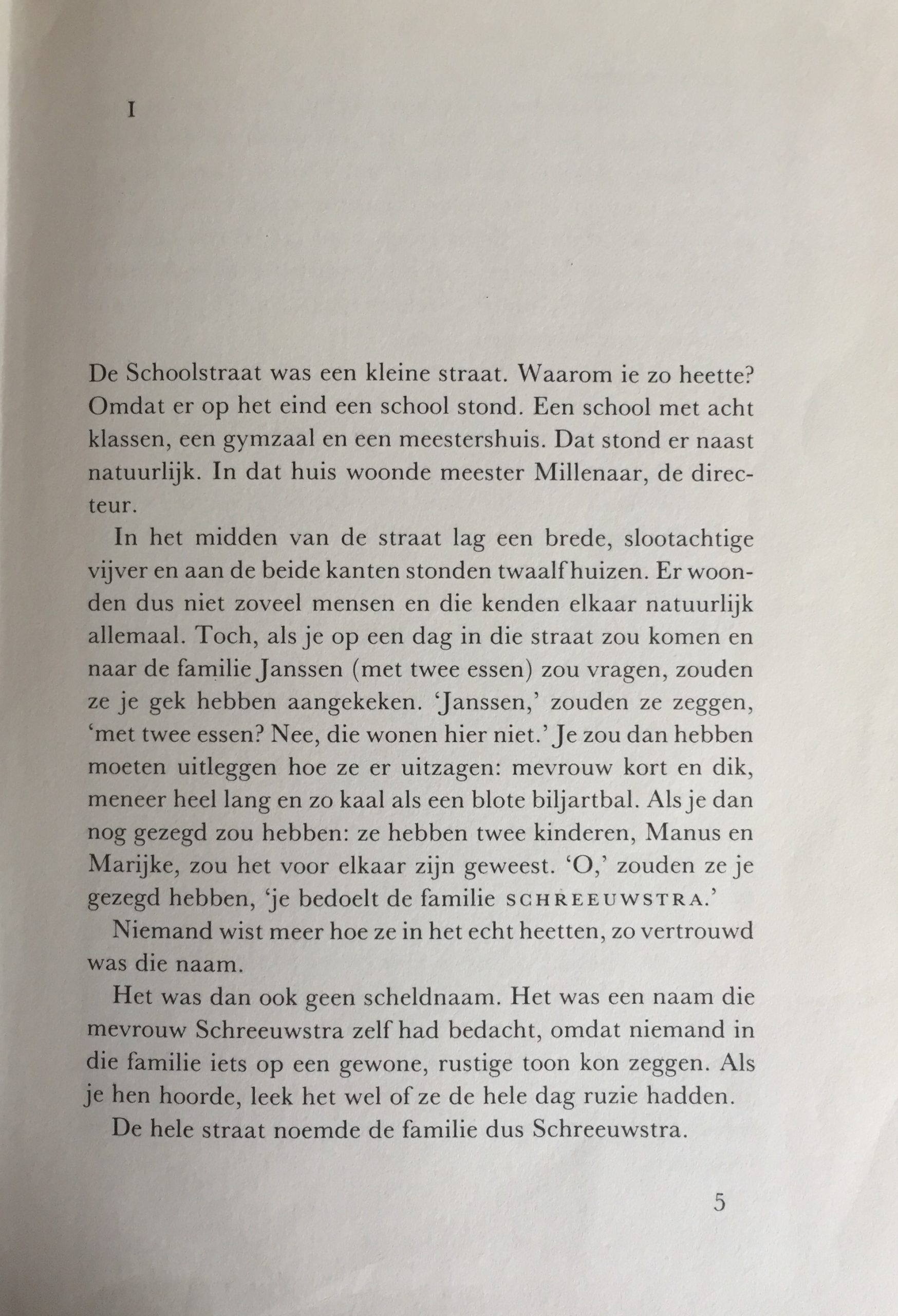 De familie Schreeuwstra - Afbeelding 3