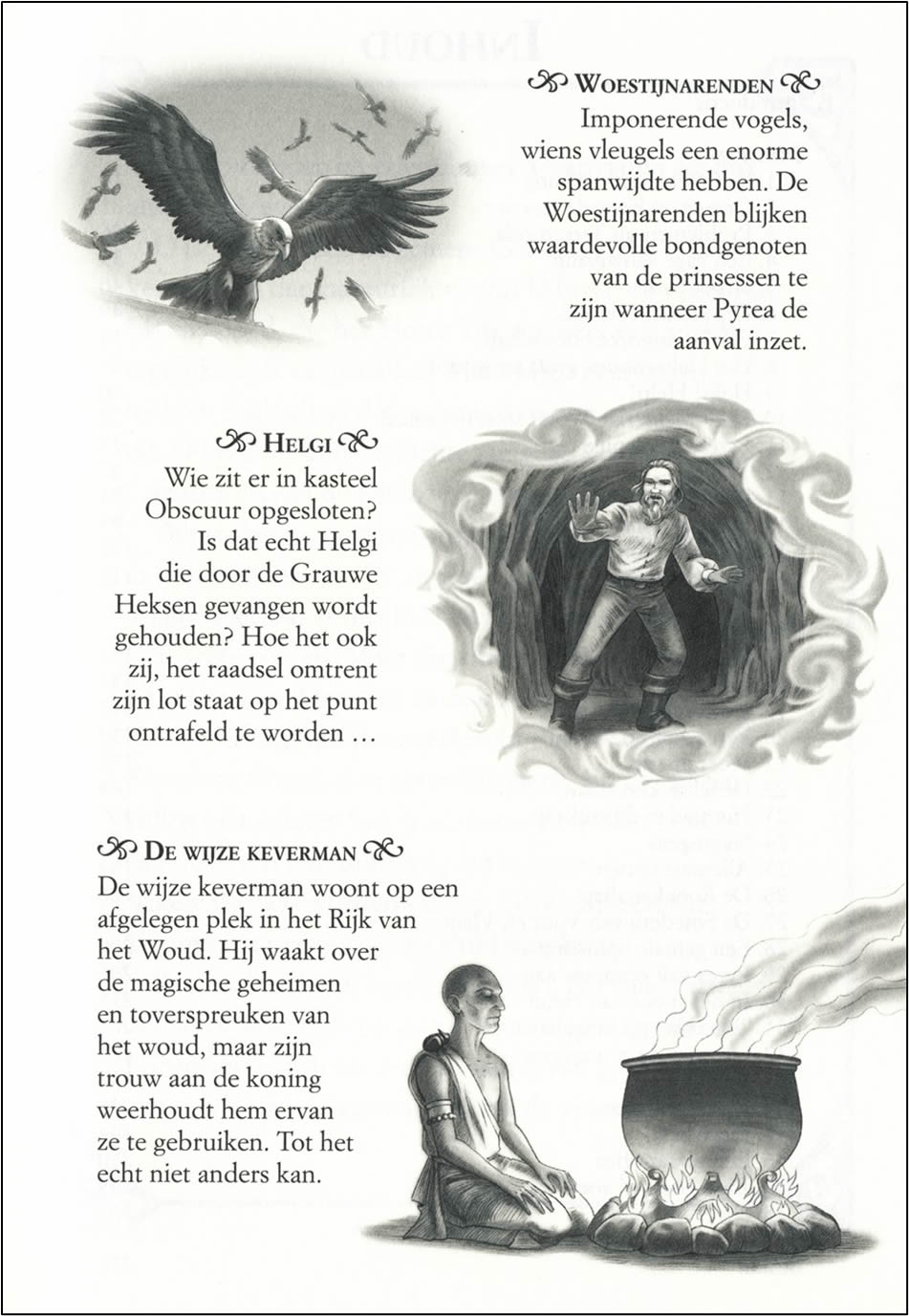 De heks van vuur en vlam - Afbeelding 3