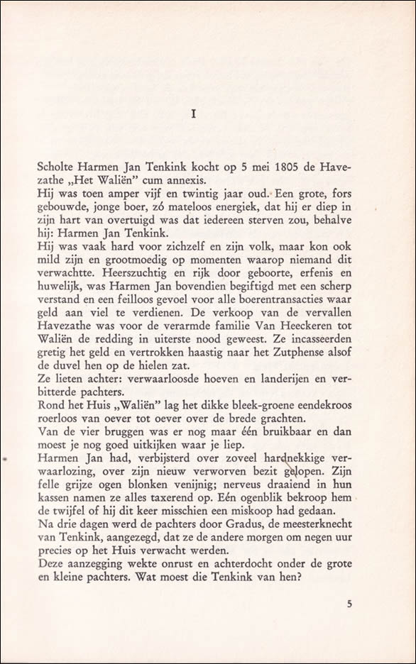 De Tenkinks van Het Waliën - Afbeelding 3