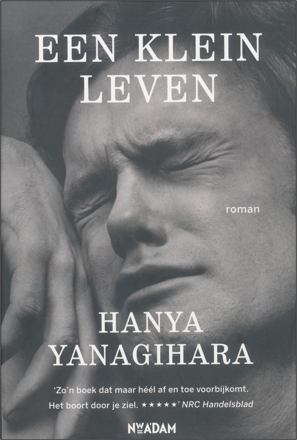 Een klein leven