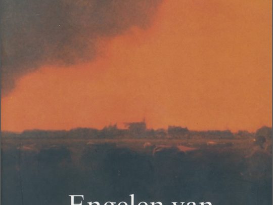 Jan Siebelink: Engelen van het duister | Torticollis (2 boeken)