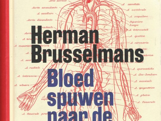 Bloed spuwen naar de hematoloog