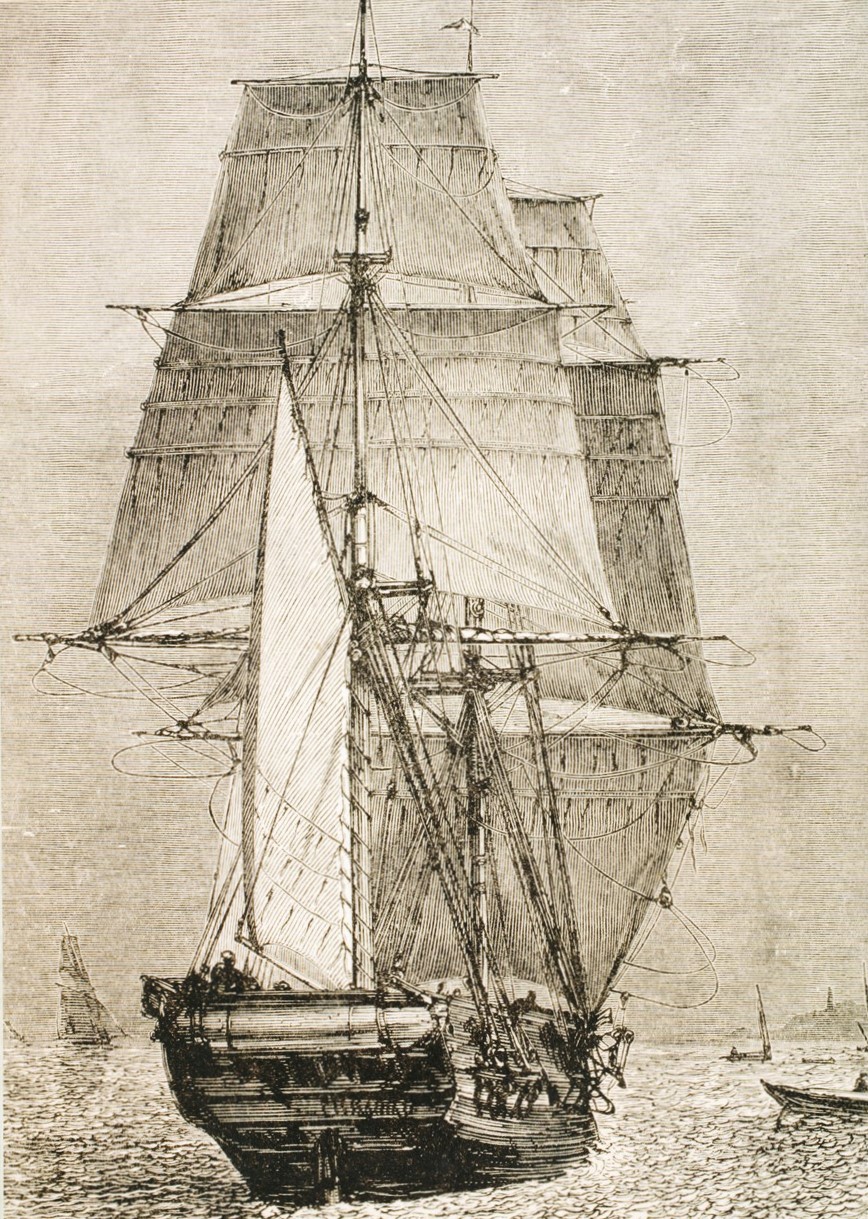 Charles Darwin De reis van de Beagle - Afbeelding 3