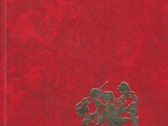 Rood kleurt de horizon