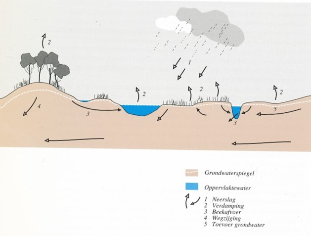 Water en Natuur - Afbeelding 4