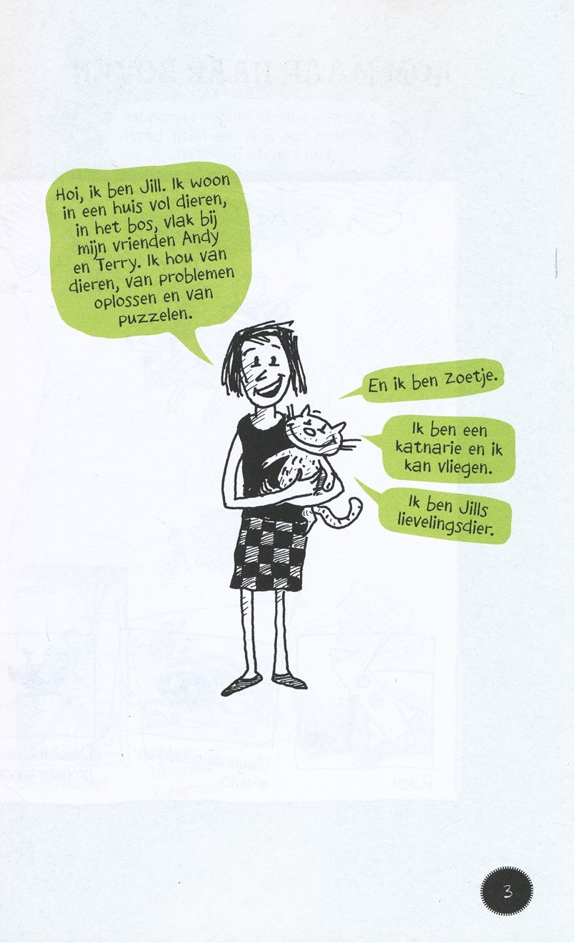 Het waanzinnige doeboek - Afbeelding 2