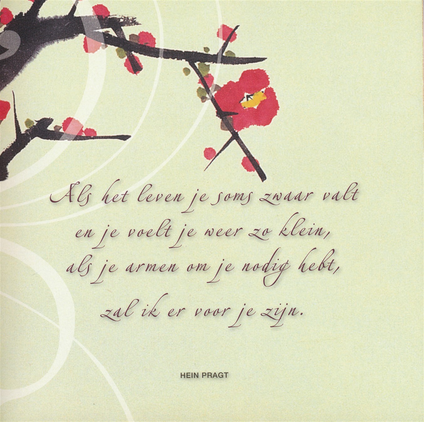 Ik geef je vriendschap - Afbeelding 4