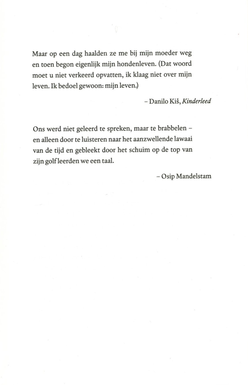 Oroppa - Afbeelding 2