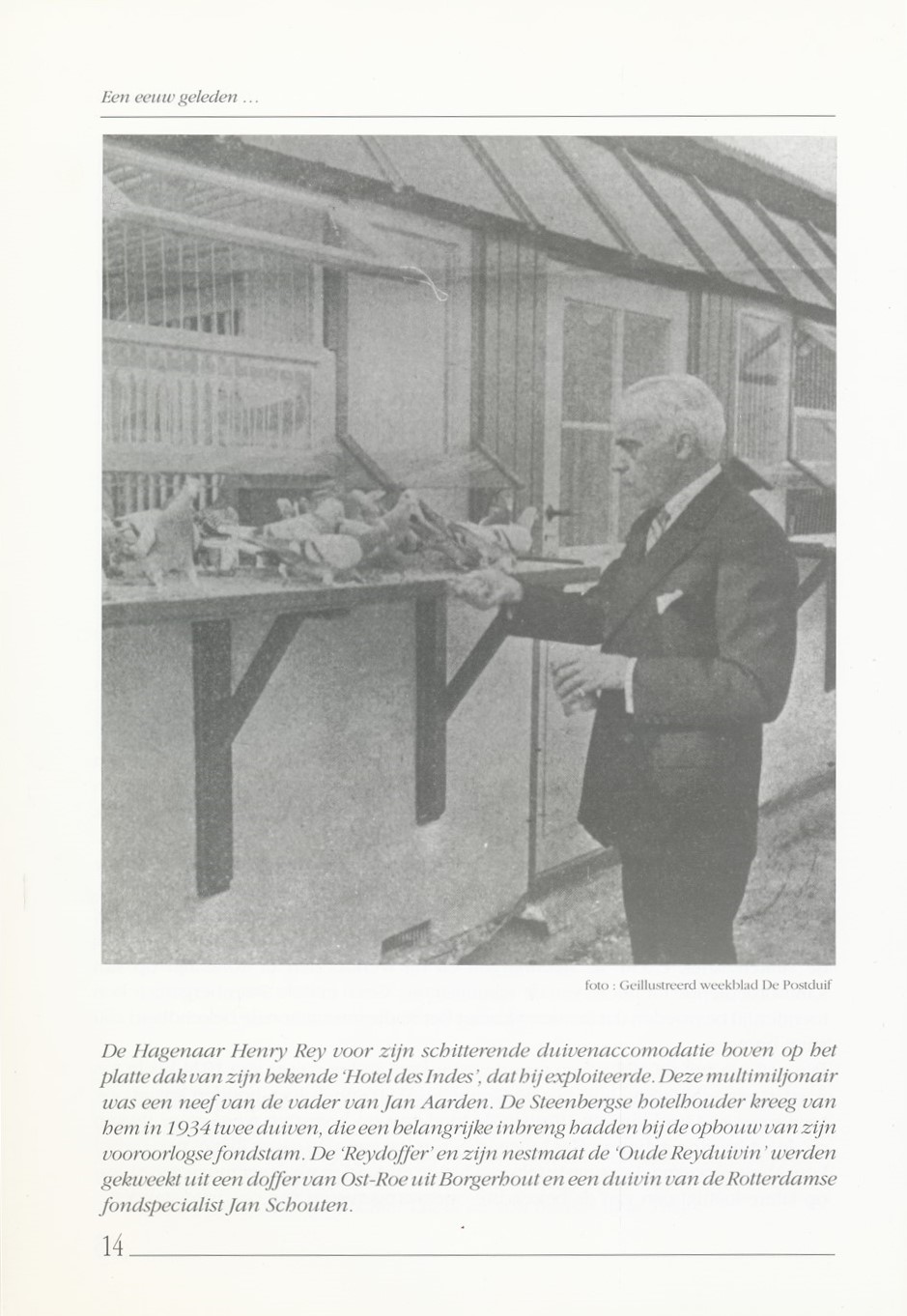 Jan Aarden en de geschiedenis van de Nederlandse fondduif - Afbeelding 5