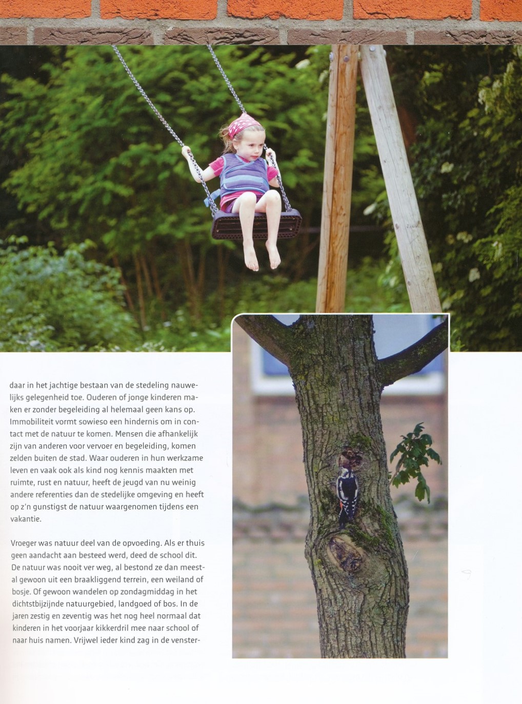 Natuur in de straat - Afbeelding 3
