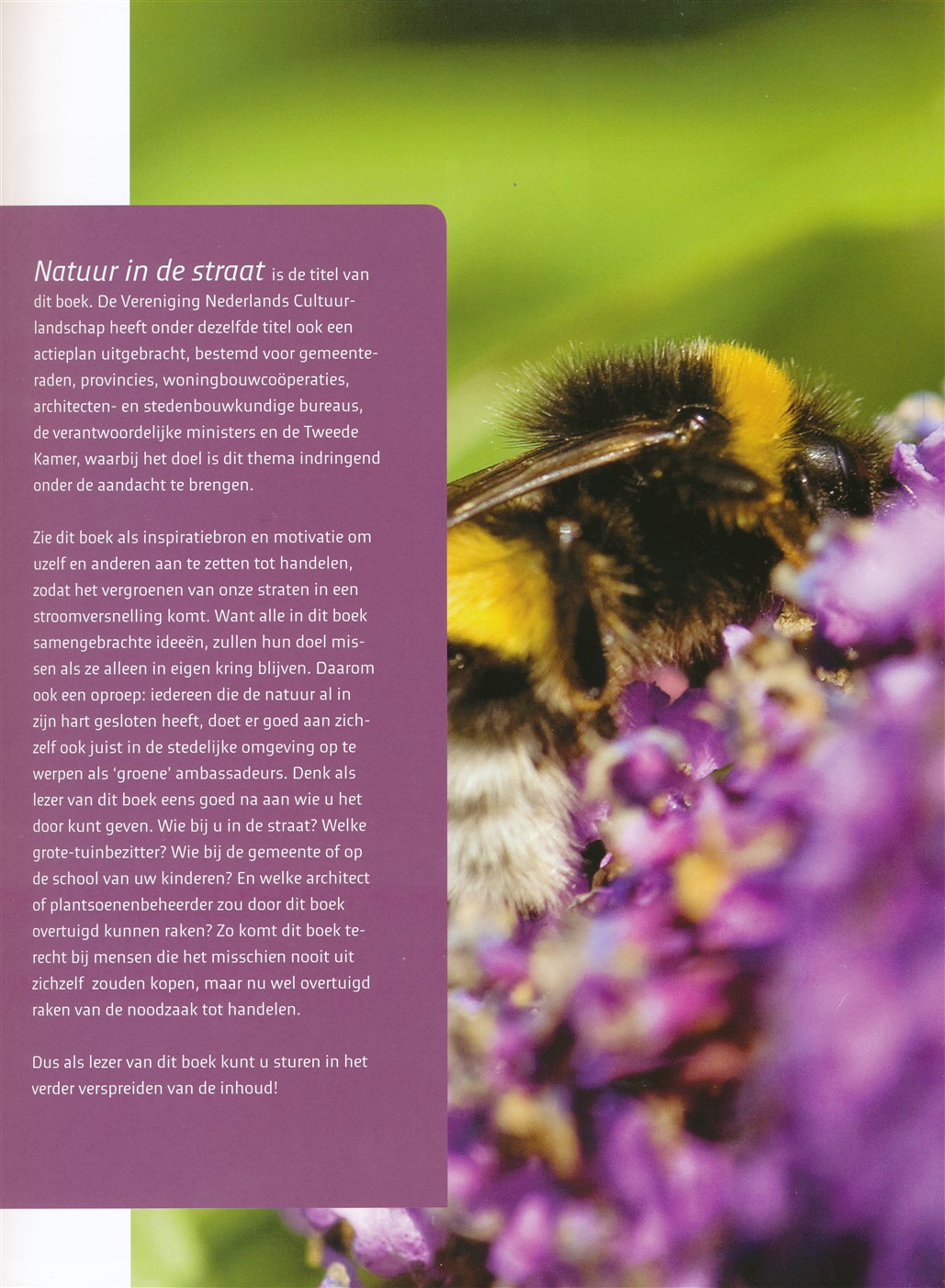 Natuur in de straat - Afbeelding 5