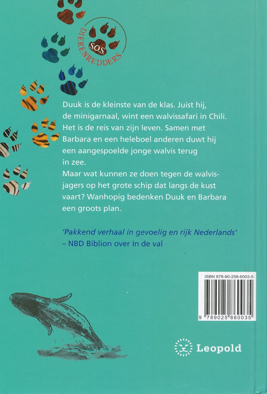 Oog in Oog - Afbeelding 5