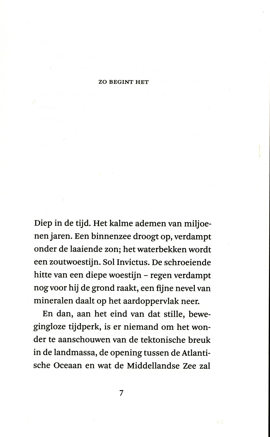 De dood van Murat Idrissi - Afbeelding 3