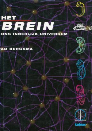 Het brein